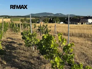 Prodej pozemku pro bydlení, Ivaň, 6921 m2