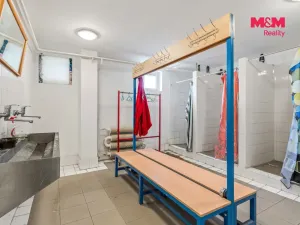 Prodej výrobních prostor, Štětí, Cihelná, 2882 m2