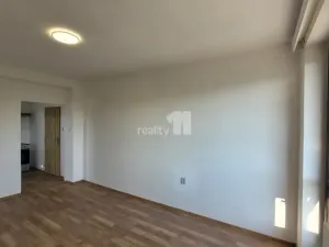 Pronájem bytu 1+1, Týnec nad Labem, Lžovická, 32 m2