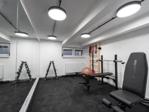 Pronájem bytu 2+kk, Praha - Břevnov, Pod Drinopolem, 30 m2