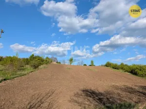 Prodej zahrady, Nosislav, 678 m2