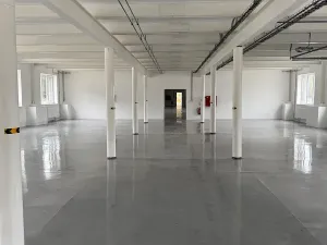 Pronájem skladu, Ostrov, 330 m2