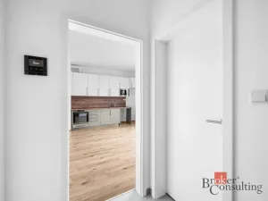 Pronájem bytu 1+kk, Plzeň - Jižní Předměstí, Železná, 26 m2