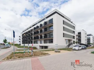 Pronájem bytu 1+kk, Plzeň - Jižní Předměstí, Železná, 26 m2