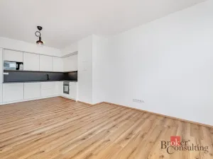 Pronájem bytu 2+kk, Plzeň - Jižní Předměstí, Železná, 66 m2