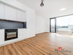 Pronájem bytu 2+kk, Plzeň - Jižní Předměstí, Železná, 66 m2