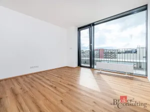 Pronájem bytu 2+kk, Plzeň - Jižní Předměstí, Železná, 66 m2