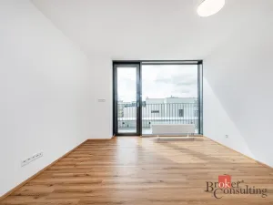 Pronájem bytu 2+kk, Plzeň - Jižní Předměstí, Železná, 66 m2