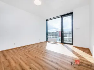Pronájem bytu 2+kk, Plzeň - Jižní Předměstí, Železná, 66 m2