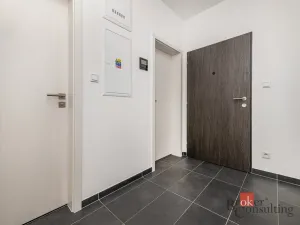Pronájem bytu 2+kk, Plzeň - Jižní Předměstí, Železná, 66 m2