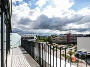 Pronájem bytu 2+kk, Plzeň - Jižní Předměstí, Železná, 66 m2