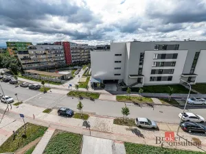 Pronájem bytu 2+kk, Plzeň - Jižní Předměstí, Železná, 66 m2