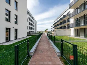 Pronájem bytu 2+kk, Plzeň - Jižní Předměstí, Železná, 66 m2