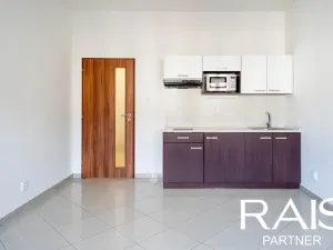 Prodej bytu 1+kk, Brno - Husovice, Svitavská, 35 m2