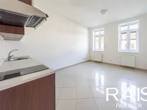 Prodej bytu 1+kk, Brno - Husovice, Svitavská, 30 m2