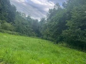 Prodej pozemku pro bydlení, Jedlá, 2598 m2