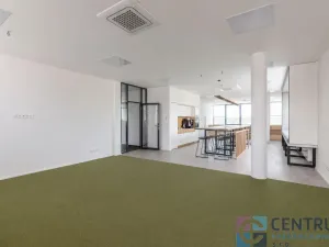 Pronájem kanceláře, Praha - Holešovice, U Pergamenky, 584 m2