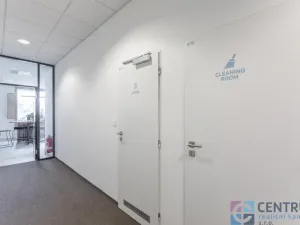 Pronájem kanceláře, Praha - Holešovice, U Pergamenky, 584 m2