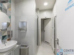 Pronájem kanceláře, Praha - Holešovice, U Pergamenky, 584 m2