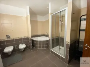 Pronájem bytu 3+kk, Karlovy Vary, Jateční, 113 m2