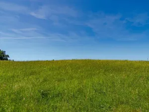 Prodej pozemku pro bydlení, Budislav, 1475 m2