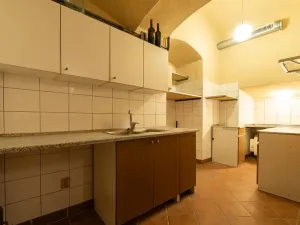 Pronájem obchodního prostoru, Praha - Nové Město, Palackého, 126 m2