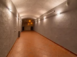 Pronájem obchodního prostoru, Praha - Nové Město, Palackého, 126 m2