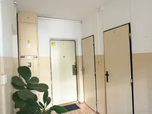 Pronájem bytu 1+kk, Praha - Podolí, Kaplická, 33 m2