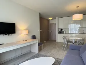 Prodej bytu 2+kk, Dolní Morava, 41 m2