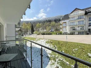 Prodej bytu 2+kk, Dolní Morava, 41 m2