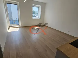 Pronájem bytu 3+kk, Šenov u Nového Jičína, Jeremenkova, 57 m2