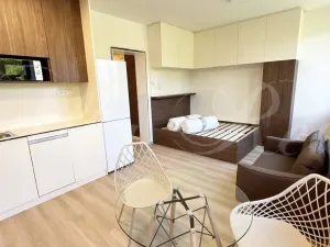 Pronájem bytu 1+kk, Brno - Štýřice, Sovinec, 30 m2