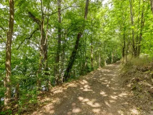 Prodej domu, Neveklov - Borovka, 550 m2