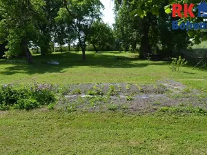 Prodej pozemku pro bydlení, Cholenice, 16365 m2