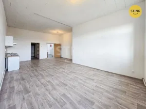 Pronájem bytu 3+kk, Frýdek-Místek, Zámecké nám., 69 m2