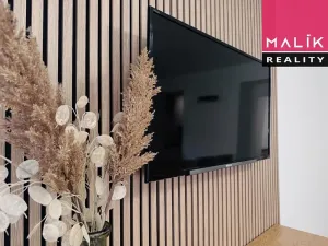 Prodej bytu 3+1, Březová, Havířská, 55 m2