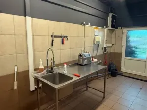 Pronájem výrobních prostor, Beroun - Beroun-Město, V Plzeňské bráně, 150 m2