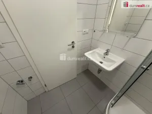 Pronájem bytu 1+kk, Praha - Krč, Budějovická, 25 m2