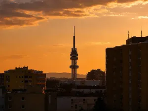 Prodej bytu 2+kk, Praha - Žižkov, Buková, 47 m2