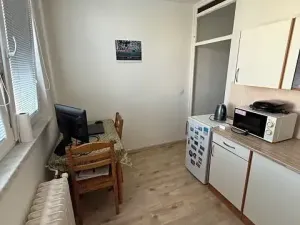 Pronájem bytu 1+1, Ostrava, Františka Hajdy, 37 m2