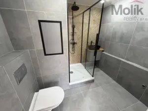 Pronájem bytu 3+1, Most, Česká, 62 m2
