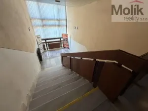 Pronájem kanceláře, Most, Lipová, 37 m2