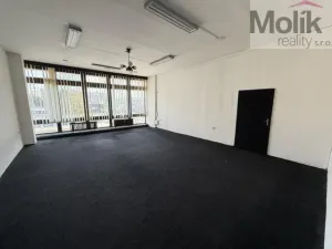 Pronájem kanceláře, Most, Lipová, 48 m2