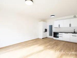 Pronájem bytu 1+kk, Praha, Gerstelova, 35 m2