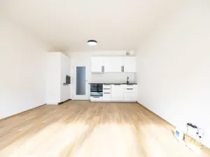 Pronájem bytu 1+kk, Praha, Gerstelova, 35 m2