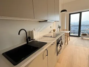 Pronájem bytu 1+kk, Praha - Holešovice, V háji, 36 m2