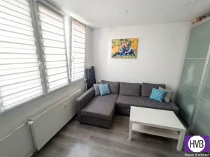 Prodej bytu 3+1, Roudnice nad Labem, Alej 17. listopadu, 62 m2