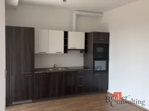 Pronájem bytu 1+kk, Plzeň - Jižní Předměstí, Železná, 34 m2