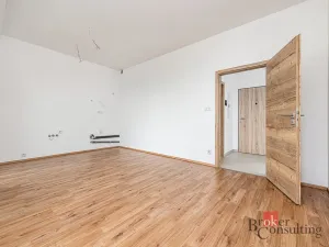 Pronájem bytu 1+kk, Plzeň - Jižní Předměstí, Železná, 34 m2