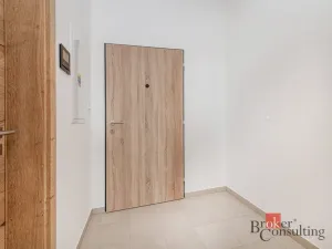 Pronájem bytu 1+kk, Plzeň - Jižní Předměstí, Železná, 34 m2